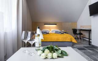 Отели типа «постель и завтрак» KRISTINA Willa & Spa Шклярска-Поремба Двухместный номер с 1 кроватью или 2 отдельными кроватями-3